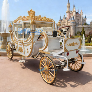 Calèche électrique royale traditionnelle pour le tourisme, de haute qualité, élégante, capacité 6 personnes, sièges en cuir souple - Product Image 4
