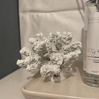 Résine décorative artisanale pour bébé, lot de 10 pièces, sur mesure, décoration de corail artificiel pour bébé, breloques en résine, nouvelle collection 2022