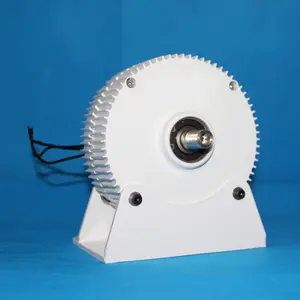 Alternadores de imán permanente para turbina eólica, alternadores de CA de 300W, 12/24V, precio competitivo en 3 fases