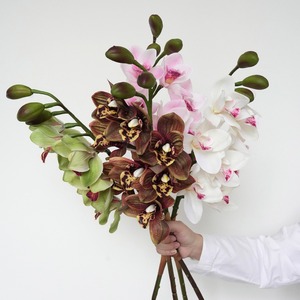 Meilleur <span class=keywords><strong>Prix</strong></span> – <span class=keywords><strong>Orchidée</strong></span> <span class=keywords><strong>Cymbidium</strong></span> Artificielle en Soie, Simulation, Tête Unique, Grande Fleur à 8 Têtes pour Décoration Maison, Mariage, Fête - Product Image 1