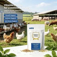 Additif alimentaire VitalFort Premix : Complément nutritionnel, soin de santé, amélioration de l'appétit, stimulation de la production d'œufs pour la volaille