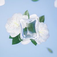 Perles/dosettes de détergent à lessive naturelle Pure biodégradable et écologique