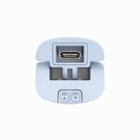 Pelurus Rambut Portabel Mini USB Tipe C Alat Penata Rambut Keramik Pemanas Cepat Ringan untuk Perjalanan 5V 2A