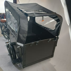 <span class=keywords><strong>Tricycle</strong></span> électrique familial à trois roues de style néerlandais avec arc-en-ciel (FP-ETRI22002) - Product Image 2