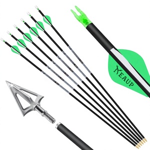 Flèches de chasse en carbone HT Bulk de 31 pouces, pointes de chasse de 100 grains, .244/6,2 mm, nocks lumineux, lot de 6, tiges de flèches Spine 300/350/400/500 - Product Image 1