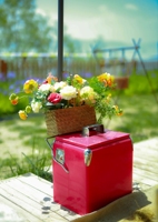 Glacière à bière en fer rouge 13L, écologique, étanche, vintage, isolée, rigide, portable, en métal, pour pique-nique en plein air ou à la plage