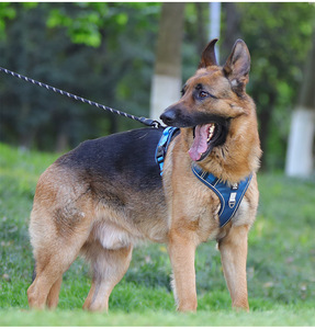 Arnés Reflectante Antipull para Perros con Soporte para <span class=keywords><strong>AirTag</strong></span>, Arnés Ajustable en Forma de Y Antiescape para Mascotas con Asa - Product Image 2