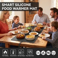 Tapis chauffant portable en silicone pour aliments, tapis chauffant en silicone pliable, plateau chauffant électrique, plaques chauffantes