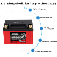 Baterai Lithium Sepeda Motor LifePO4 12.8V 12AH CCA650A LFP19BL-BS untuk ATV Scooter Dirt Bike