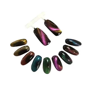 Poudre à ongles chrome magnétique 3D, 1 boîte, œil de chat, caméléon, effet miroir, pigments nail art