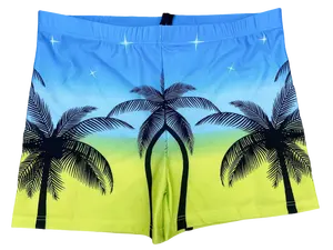 Haute qualité impression sublimée taille élastique hommes maillot de bain homme Boxer Shorts Surf Shorts mâle maillot de bain vêtements de plage