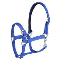 Équipement équestre Accessoires Équitation Bride Extérieur Nylon Polyester Nylon Corde Expédition Halter Selle Anglaise