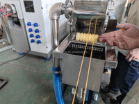 Ligne de production d'extrusion de granulés de plastique pour laboratoire
