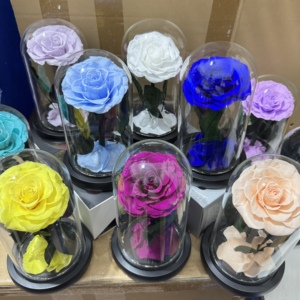 Regali di San Valentino 2025: <span class=keywords><strong>Rose</strong></span> Stabilizzate con Luci in Cupola di Vetro per Regali di Natale - Product Image 1