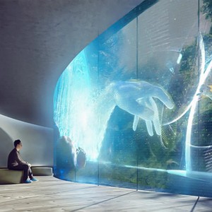 Lionled Venta caliente Interior Ultra alta transparencia Flexible LED Pantalla de película transparente - Product Image 6