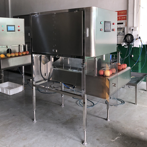 Máquina Peladora de Aguacates, Cocos y Nueces, Automática, Comercial, Multifuncional, de Acero Inoxidable, Equipo de Procesamiento de Frutas y Verduras - Product Image 5