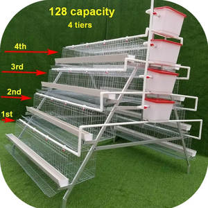 Jaula de batería tipo A de 4 niveles para 1000 gallinas ponedoras, para granja avícola, cría de animales, jaula para gallinas ponedoras en venta - Product Image 2