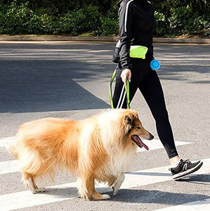 <span class=keywords><strong>Wonderful</strong></span>-riñonera deportiva con correa para perro, bolso de cintura - Product Image 5