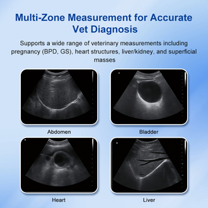 Thú Y cầm tay máy siêu âm cho sức khỏe động vật chẩn đoán và giám sát trong thú y phòng khám - Product Image 3