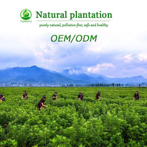 オニオンエッセンシャルオイル<span class=keywords><strong>100</strong></span>% 純粋植物抽出ヘアケア用バルク販売価格プライベートラベル付き - Product Image 5