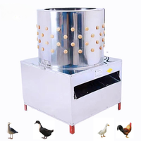 Équipement d'abattage de volailles entièrement automatique en acier inoxydable, mini-machine à plumer les cailles, les oiseaux et les poulets