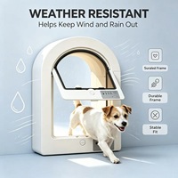 Haustiertür mit Regenschutzdesign, Magnetverschluss, Smart-Chip-Sensor, geeignet für Innen- und Außentüren, Fenster, Katzen, Hunde