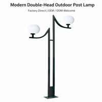 Lampadaire LED moderne à double tête, en métal noir, pour extérieur, jardin, cour, avec globe en verre dépoli, éclairage de parc