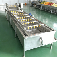 Avocado Kokosnoot Ananas Fruit Groente Was- en Verwerkingsmachine met Sterilisatie Continue Transport Multifunctioneel