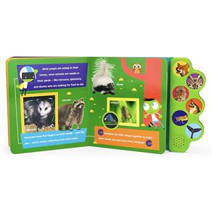 Animales en la noche <span class=keywords><strong>libro</strong></span> de tablero niños <span class=keywords><strong>libro</strong></span> de sonido seis botones fácil prensa <span class=keywords><strong>libro</strong></span> de sonido - Product Image 4