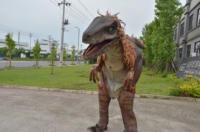 Costume réaliste de dinosaure T-rex avec pattes cachées pour spectacle sur scène, modèle animatronique de dinosaures pour l'amusement