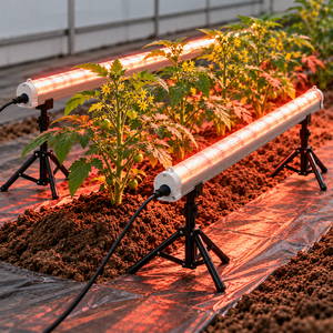IP65 Waterproof Full Spectrum 120W LM301H EVO Lm281b Dimmable <b>Under</b> Canopy LED Grow Light for Veg and Bloom - Product Image 1