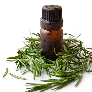 น้ำมันโรสแมรี่สกัดจากธรรมชาติ ยี่ห้อ Gingerly Naturals ได้รับการรับรองมาตรฐาน GMP ISO เกรดเครื่องสำอาง บรรจุขวด/ถัง สำหรับอโรมาเธอราพี - Product Image 1