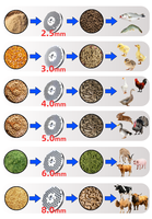 Ligne de production de granulés d'aliments pour animaux de haute qualité 1T/H, faible bruit, machine de traitement des aliments pour bétail, vente en gros