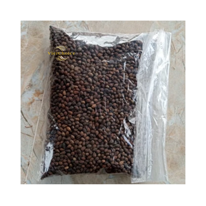 Semillas de Papaya Secas Naturales, Calidad Premium, Precio al por Mayor, Vietchoice Ecológico - Product Image 3