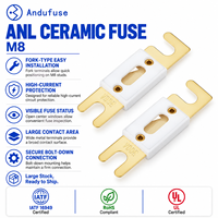 Fusible céramique standard ANL à action lente, limiteur de courant, haute ampérage, protection de batterie pour véhicules, audio, marine, bloc de liaison fusible Nv200