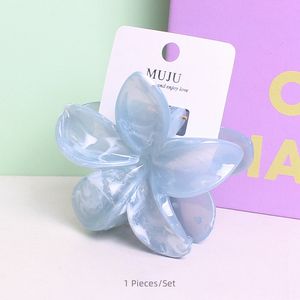 ملحقات كبيرة متعددة الأحجام <span class=keywords><strong>PL</strong></span> من Plumeria Back Head Plumeria - Product Image 2