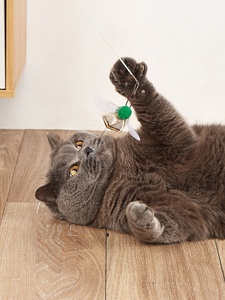 Jouet à mâcher pour chat en plastique, baguette de stimulation en forme d'insecte simulé, têtes interchangeables, durable, résistant aux morsures et aux griffures, soulagement de l'ennui, divertissement personnel - Product Image 6