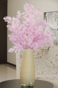 Moon Yu เฟิร์นหน่อไม้ฝรั่งที่เก็บรักษาไว้ได้นานธรรมชาติ - Product Image 3