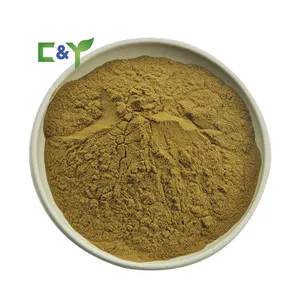 Wholesale supplier alisma Ze Xie alisma extract alisma orientalis extract powder