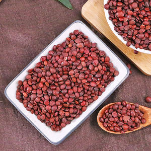 Suan Zao Ren biji tanggal tulang belakang kering biji Jujube biji rempah-rempah <span class=keywords><strong>Semen</strong></span> zizipi spinossae mentah/butiran panggang diproses rasa kapulaga - Product Image 3