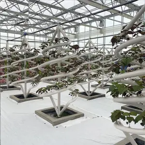 Les fabricants fournissent la plantation hydroponique en spirale tour airoponique verticale tour hydrophonique tour aéroponique verticale