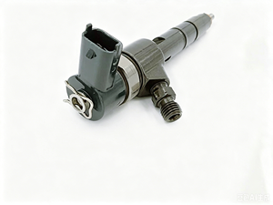 Injecteur Common Rail 0445110404 0445110293 0445110407 pour Bo Sh - Product Image 2
