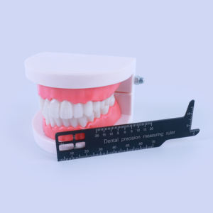 Strumenti Medici all'Ingrosso, Righello Dentale per Misurazioni e Fotografia - Product Image 3