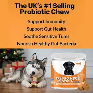 Suplemento Masticable Probiótico Natural OEM para Perros, Favorece la Salud Digestiva e Inmunológica, Suplemento Premium para el Cuidado de la Salud de las Mascotas - Product Image 4