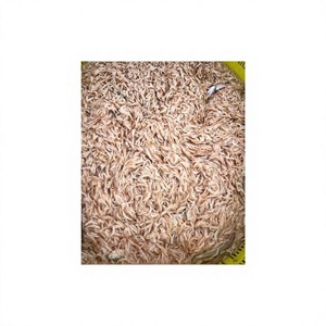Camarones Secos Naturales Premium 100% VAN BACH TUNG Vietnam KR01, Envasados al Vacío, 12+ Meses de Duración, Conservar en Lugar Fresco y Seco, Listos para Usar - Product Image 1