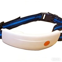 Collier intelligent pour chien avec GPS, moniteur de santé de qualité médicale, fréquence cardiaque, respiration, appels vocaux 4G, suivi d'activité et de calories, Beidou, plastique