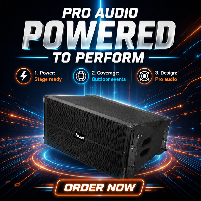 Professional Line Array Speaker System for Concerts Live Events and PA Sound Reinforcement