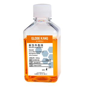 Sérum bovin nouveau-né FBS, sérum fœtal bovin 500 ml pour la culture des cellules souches, réactif IVD, milieu de culture de sérum animal - Product Image 4