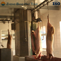 Mini abattoir ZBHT, équipement de transformation de la viande de porc, abattage à petite échelle, composants principaux, moteur, roulement, automatique/manuel
