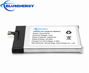 Batterie polymère lithium-ion Blusenergy 3.8V 5500mAh Blus755781 pour l'électronique grand public - Product Image 2